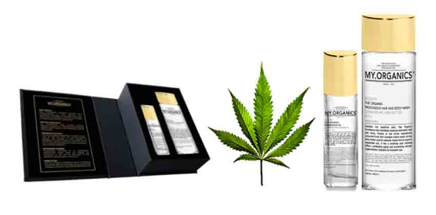 los beneficios del cannabis