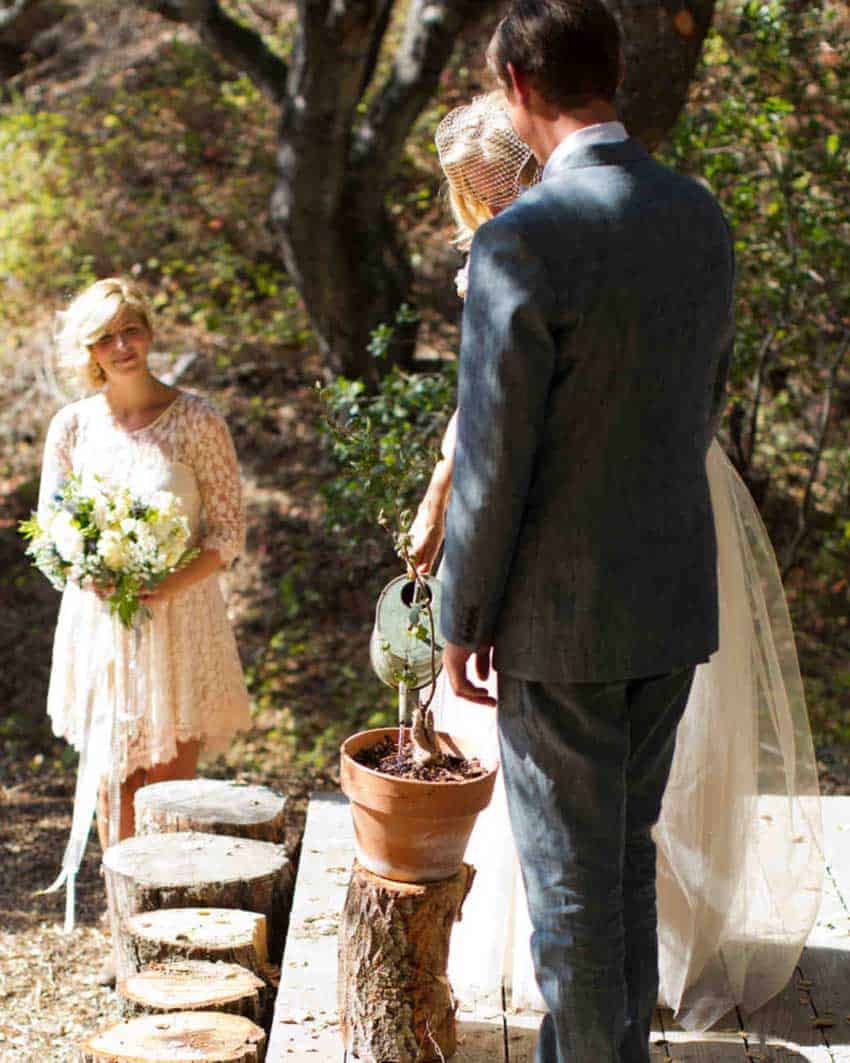 alternativas a las alianzas de boda boda rural