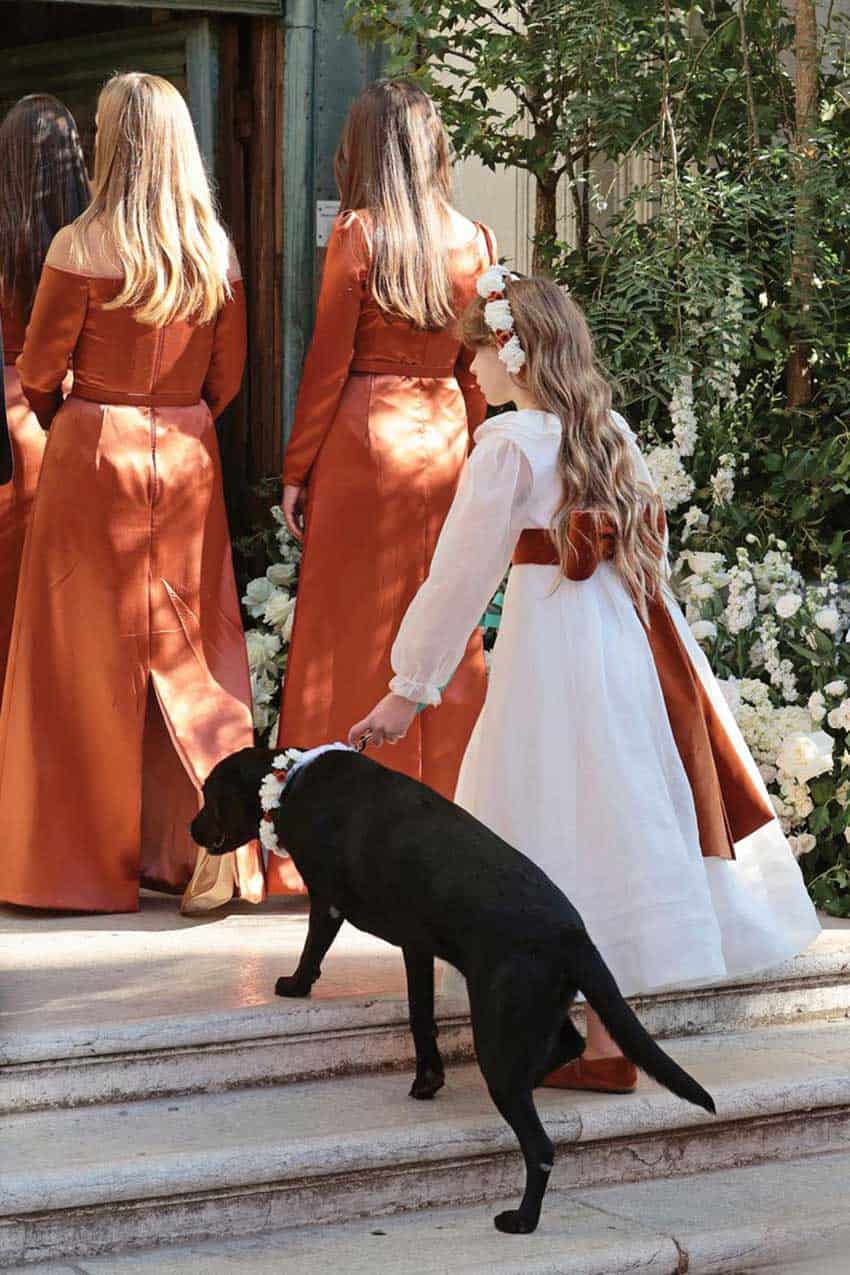 perros en las bodas