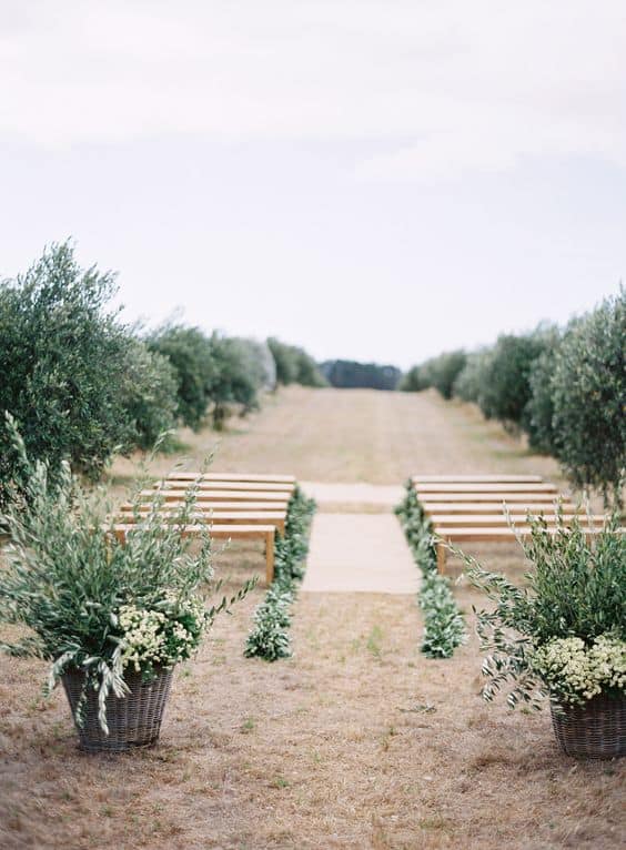 campo de olivos para bodas