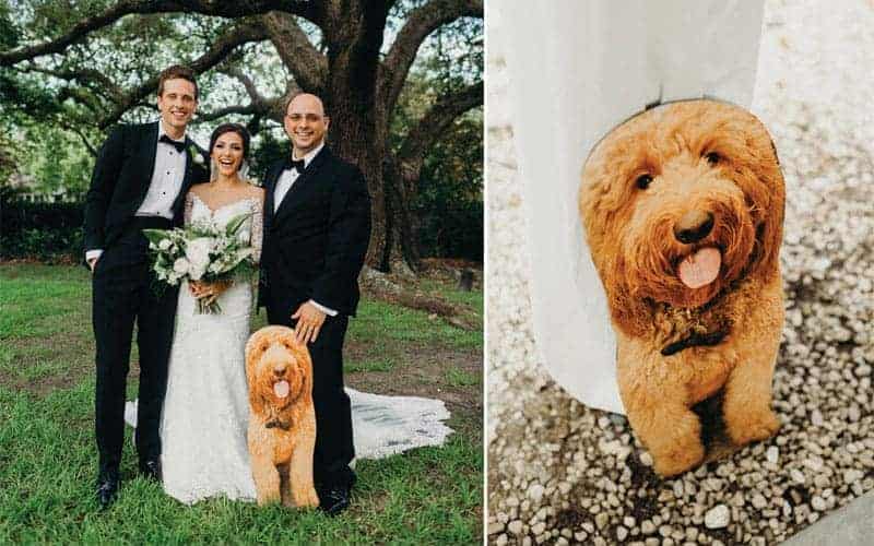 no dejó que su perrito se perdiera la boda