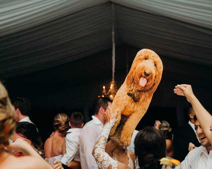 no dejó que su perrito se perdiera la boda