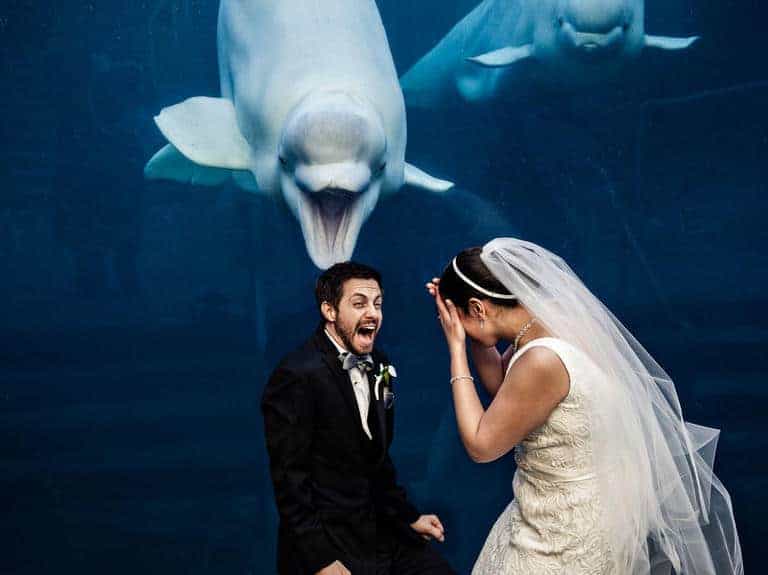casarse en el acuario