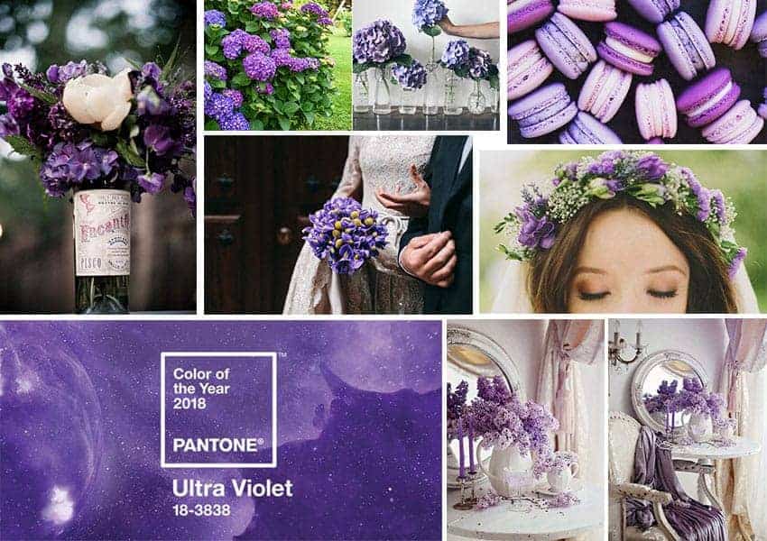 flores ultra violet pantone