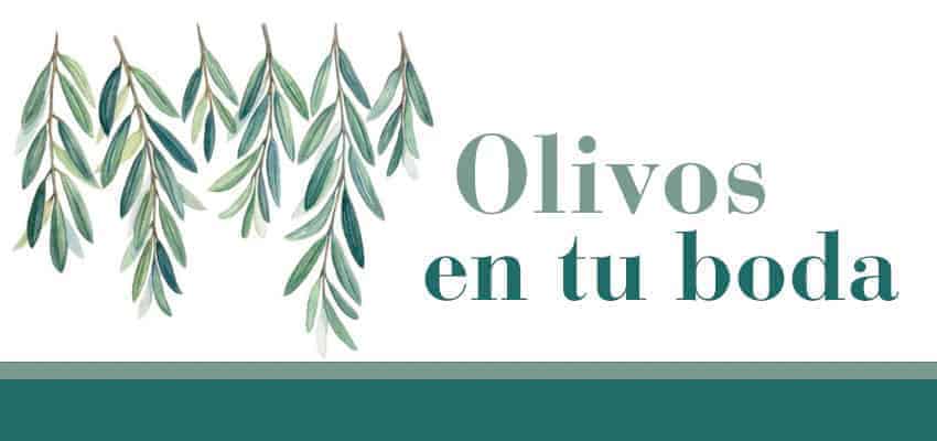 Decoraciones especiales de boda a base de ramas de olivo