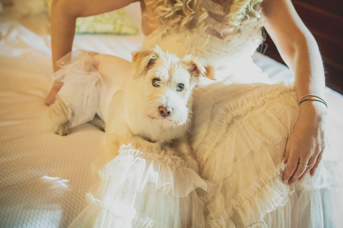 Novia y mascota