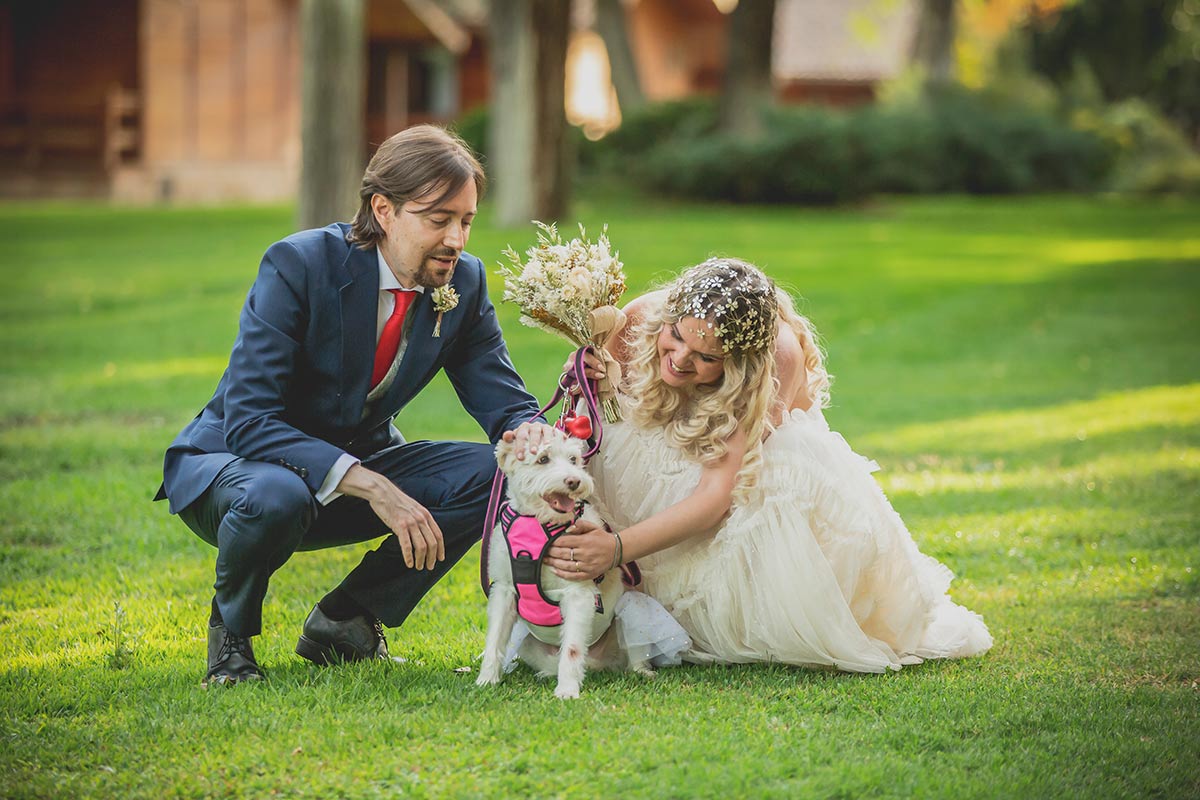 Novios y mascota