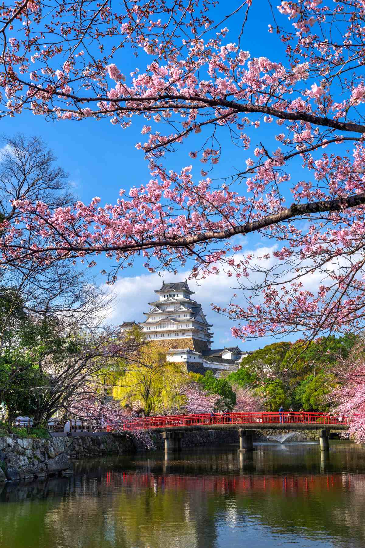 ¿cuándo es la mejor época para llevarlo a cabo? Como hemos dicho, la mejor época para una luna de miel en Japón es durante la primavera y el otoño