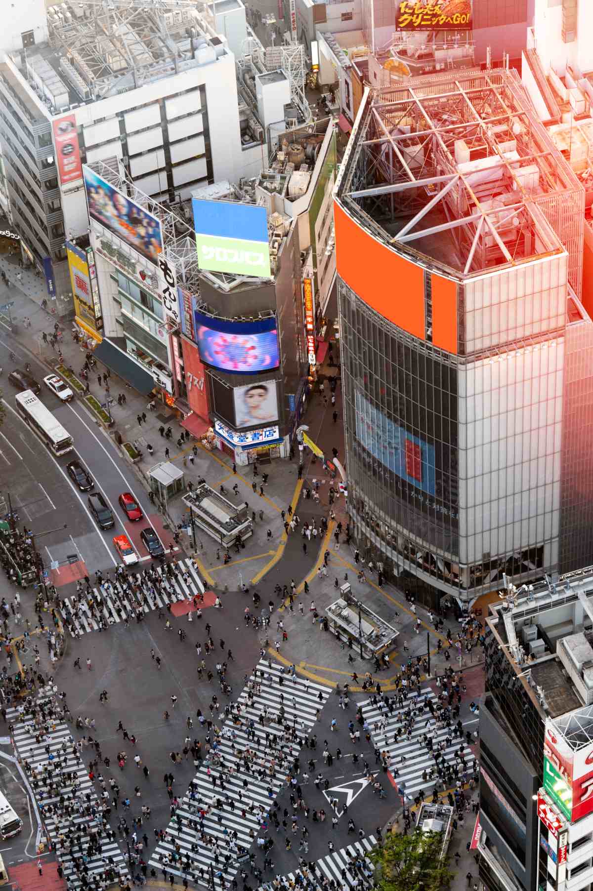 Es el momento de descubrir la parte más cosmopolita de la capital. Fotografiaros cruzando el famoso cruce peatonal de Shibuya y la estatua de Hachikō, visitad el famoso y pintoresco barrio de Harajuku con tiendas originales de ropa vintage y cafeterías de lo más modernas