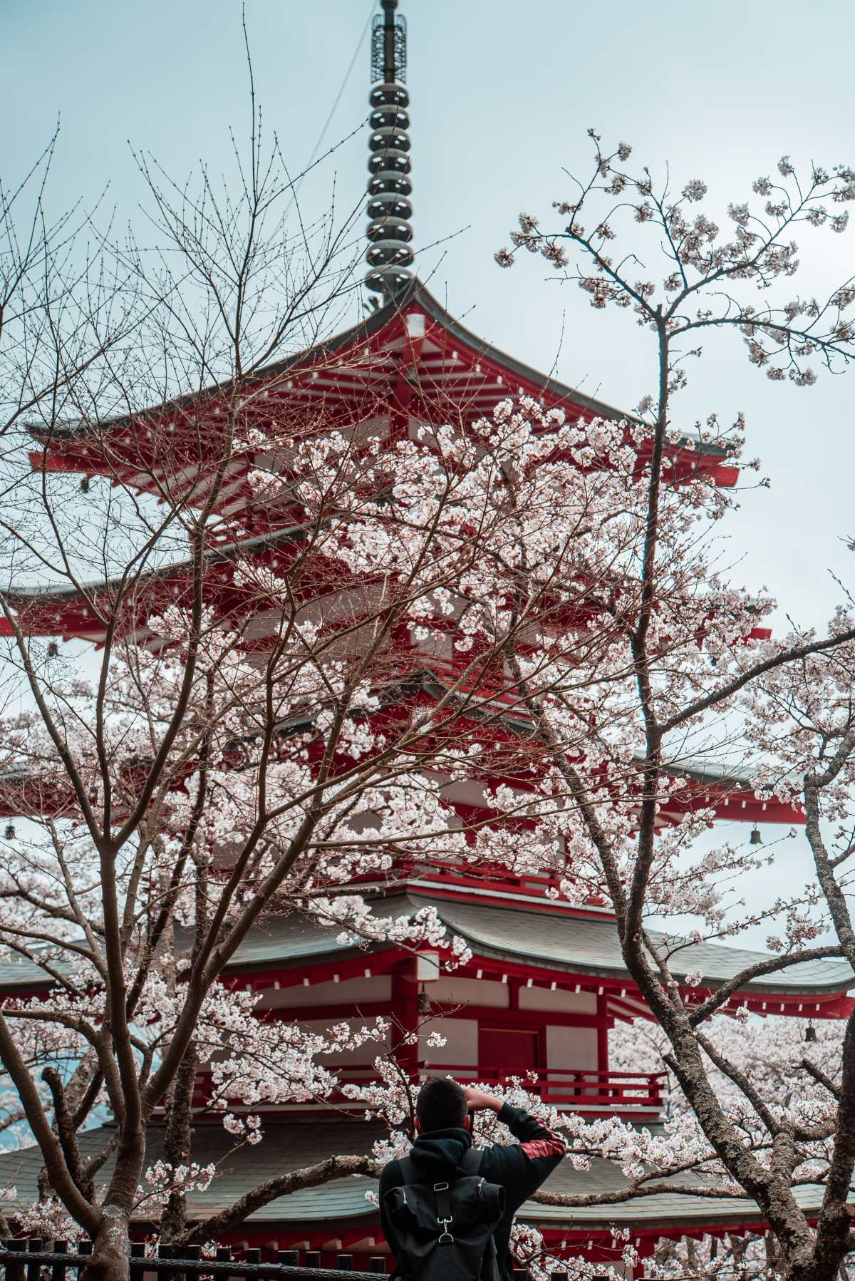 Una de las ventajas prácticas que ofrece una luna de miel en Japón es su gran red ferroviaria, que os permitirá adentraros en su cultura a vuestro aire.